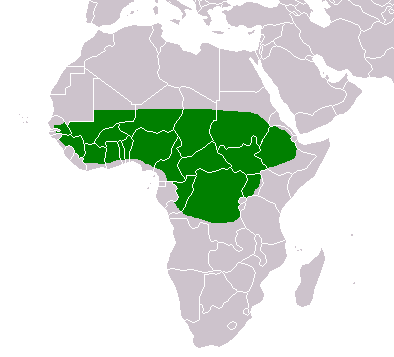 map of African regions where shea trees are native