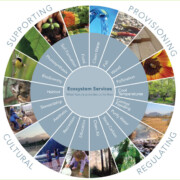 Graphic credit: TEEB Europe ecosystem services example wheel