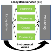 classifying ecosystem services
