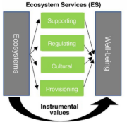 classifying ecosystem services classifying ecosystem services