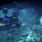 deep sea exploration vehicle finding a coral colony