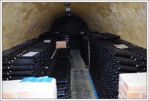 Bottles stored in wine cellar