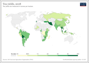 Major tea growing countries of the world